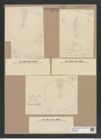 Coscinodiscus sp. (de-Toni-Nr.: Genus 202) Zeichnungen Sammlung Grunow Nr. 8940 (NHMW-BOT-W0378623)